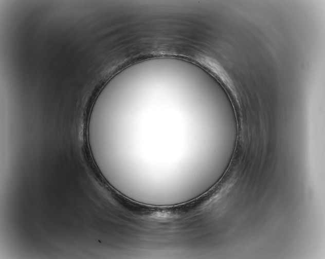 X0000088700441200705311019
