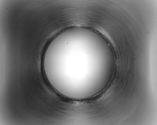 X0000088700442200705311019
