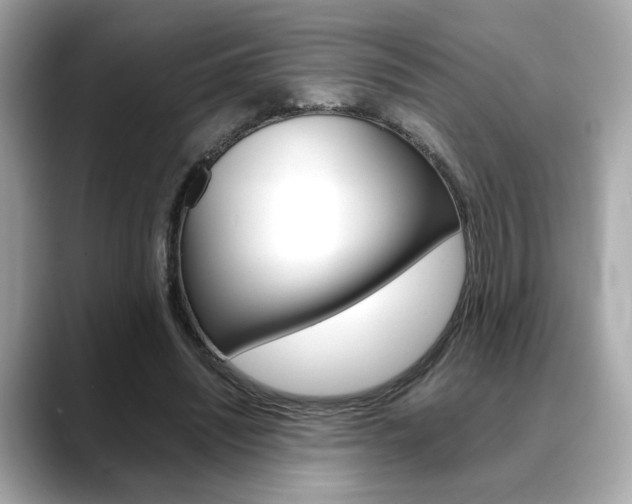 X0000088700444200705311019