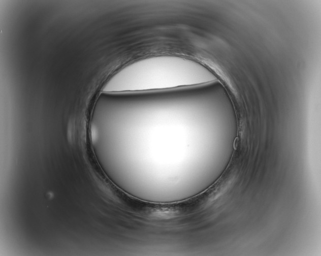 X0000088700445200705311019