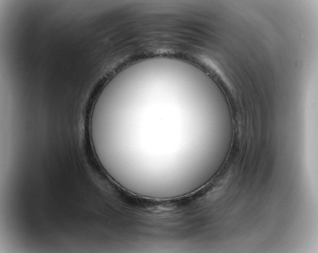 X0000088700447200705311019
