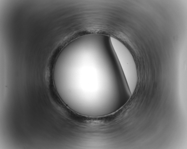 X0000088700448200705311019