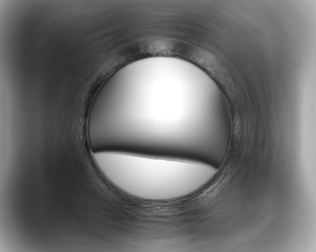 X0000088700449200705311019
