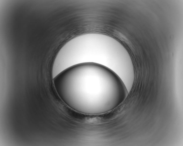 X0000088700452200705311019