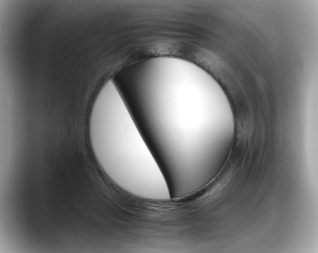 X0000088700453200705311019