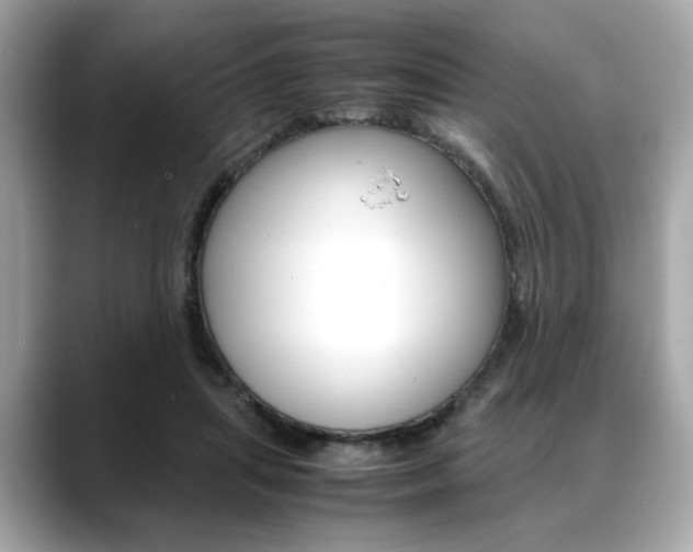 X0000088700455200705311019