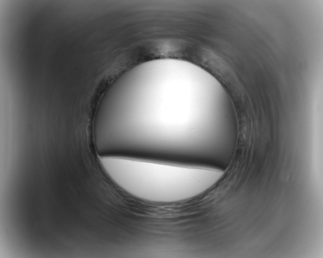 X0000088700461200705311019