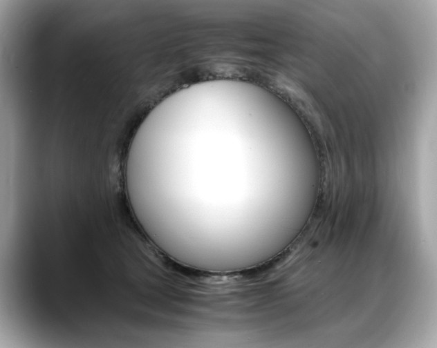 X0000088700465200705311019
