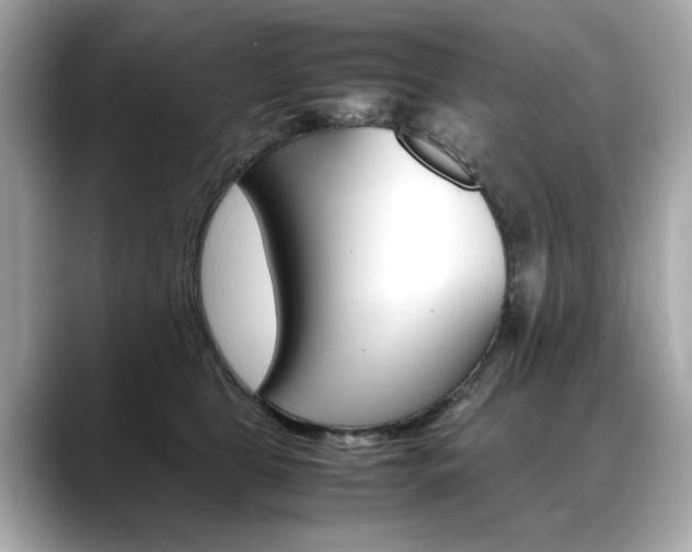 X0000088700469200705311019