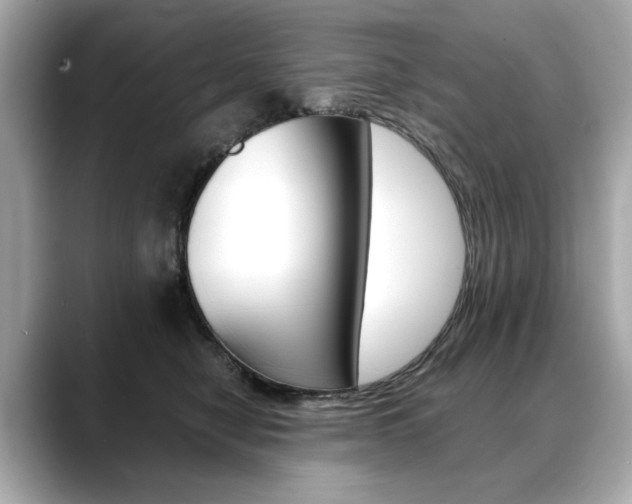 X0000088700470200705311019