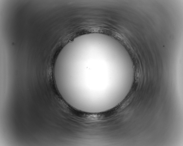 X0000088700473200705311019