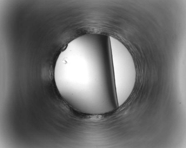 X0000088700474200705311019