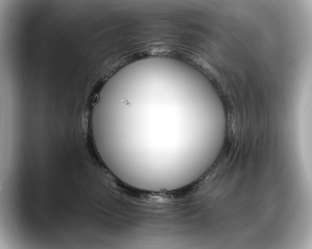 X0000088700475200705311019