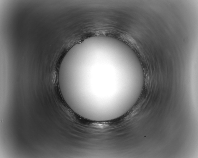 X0000088700477200705311019