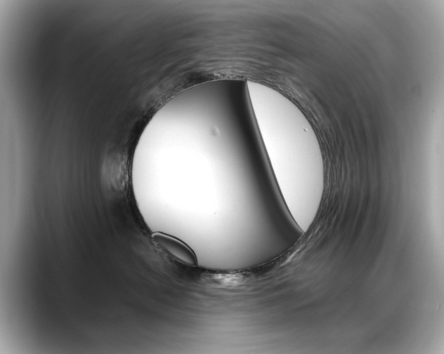 X0000088700478200705311019