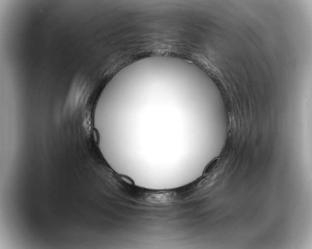 X0000088700479200705311019