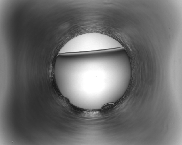 X0000088700480200705311019