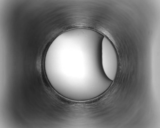X0000088700482200705311019