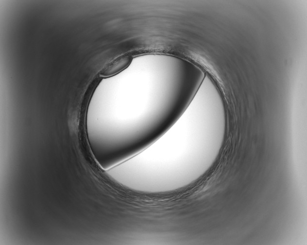 X0000088700483200705311019