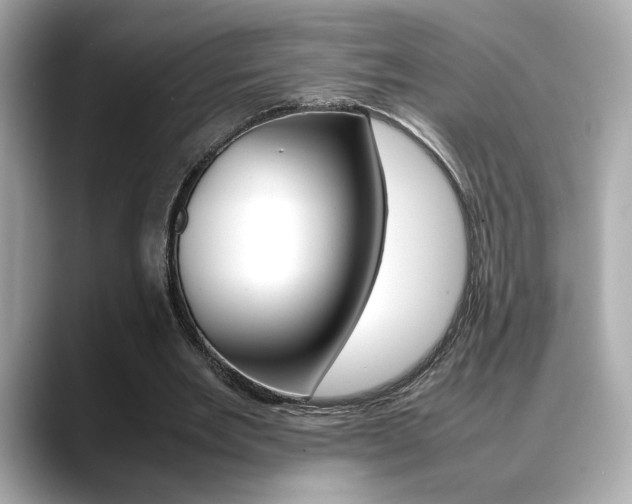 X0000088700485200705311019