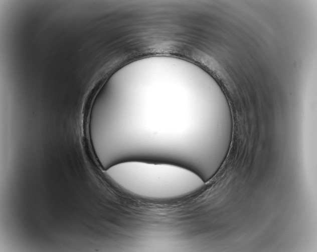 X0000088700486200705311019