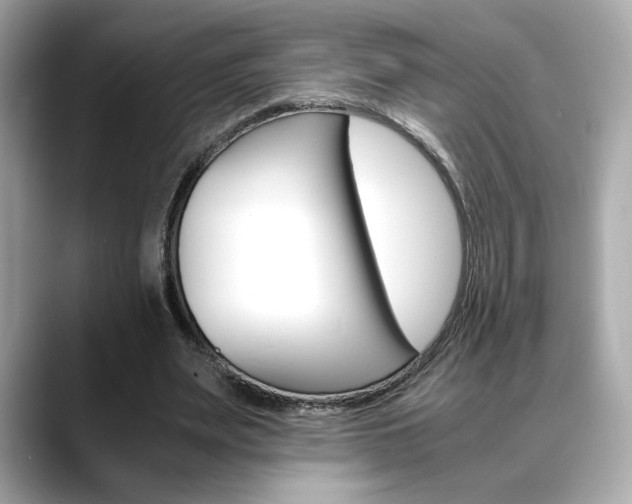 X0000088700487200705311019