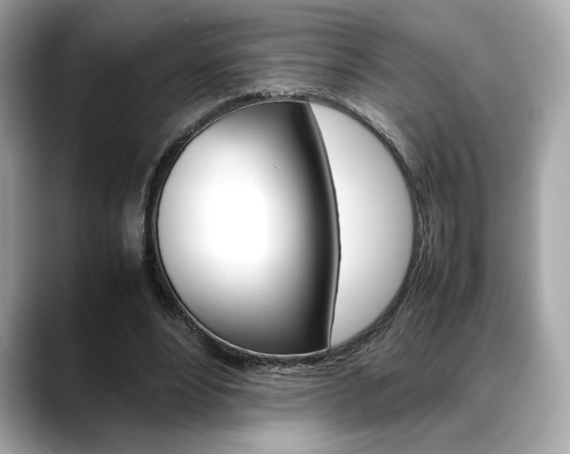 X0000088700488200705311019