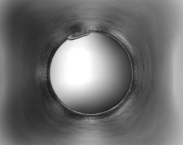 X0000088700489200705311019