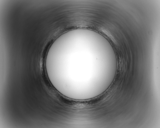 X0000088700494200705311019