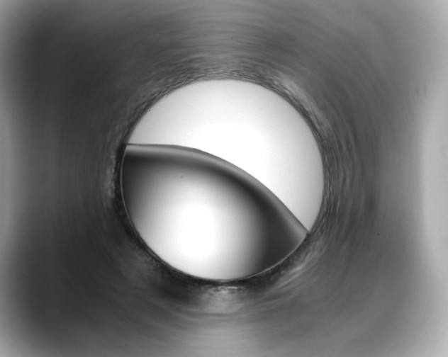 X0000088700497200705311019