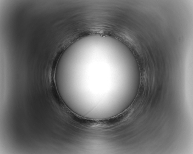 X0000088700504200705311018
