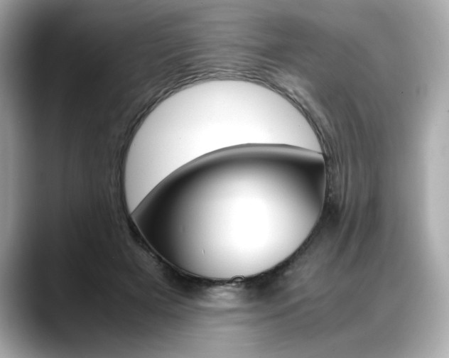 X0000088700505200705311018