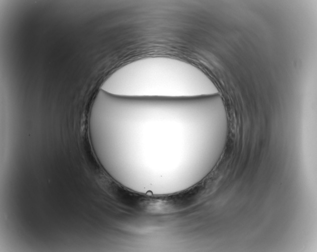 X0000088700507200705311018