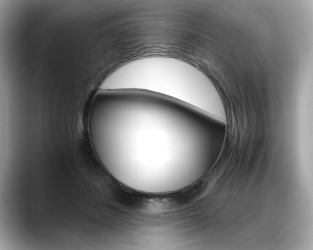 X0000088700508200705311018