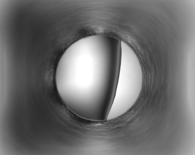 X0000088700509200705311018
