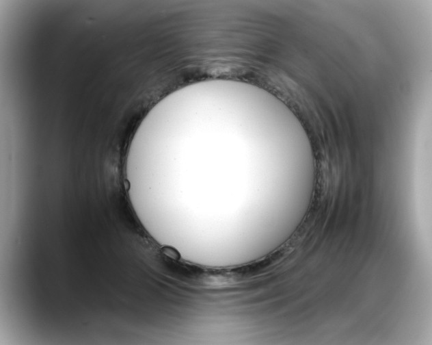 X0000088700510200705311018