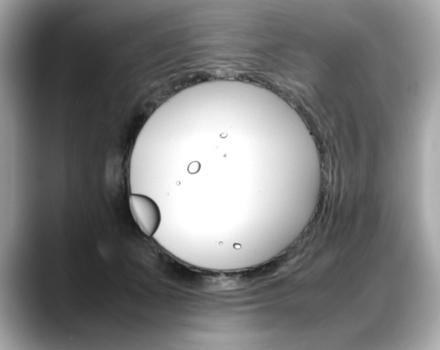 X0000088700511200705311018