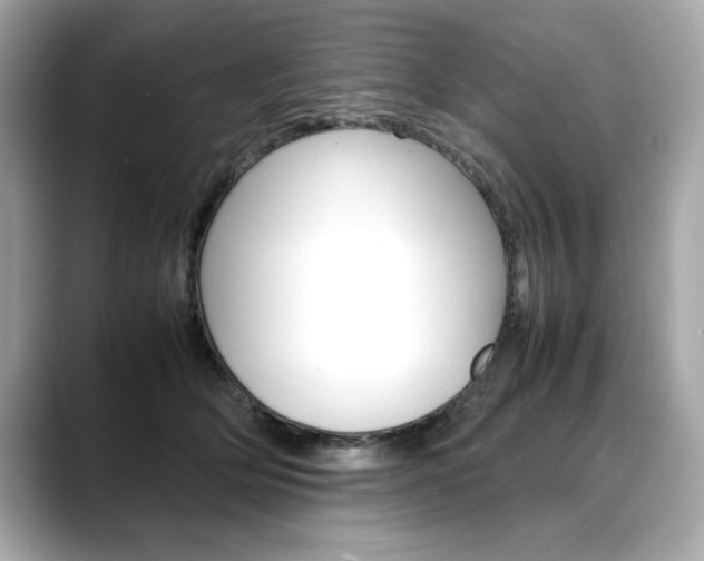 X0000088700514200705311018