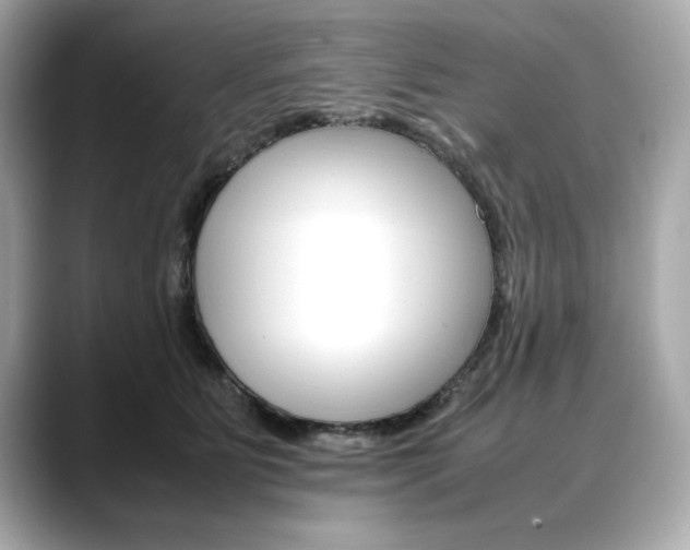 X0000088700515200705311018
