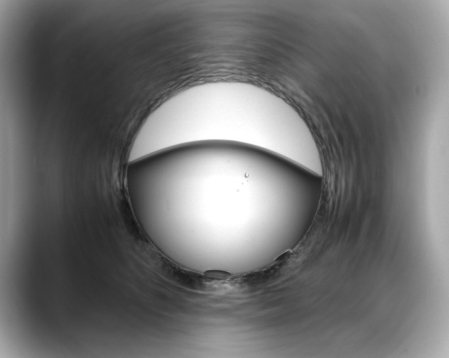 X0000088700516200705311018