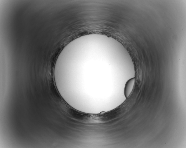 X0000088700518200705311018