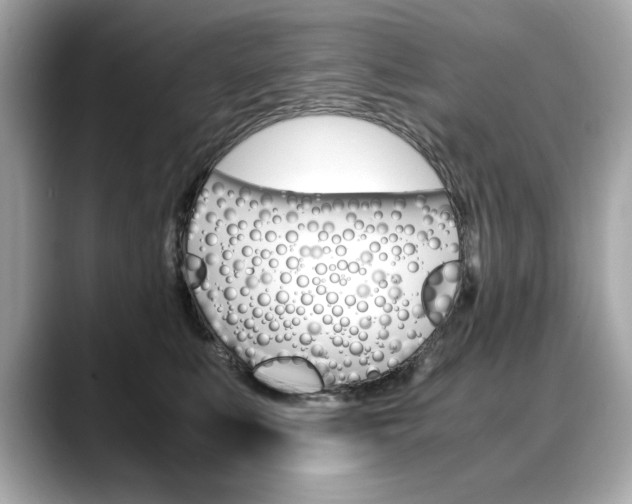 X0000088700519200705311018