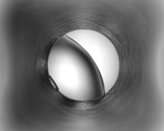 X0000088700521200705311018