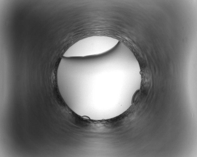 X0000088700523200705311018