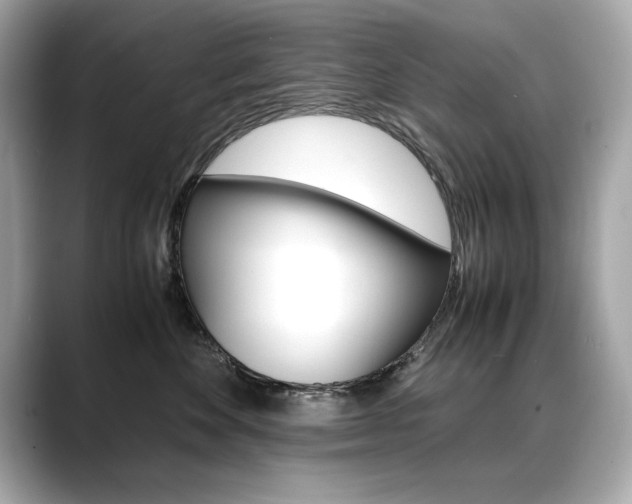 X0000088700524200705311018
