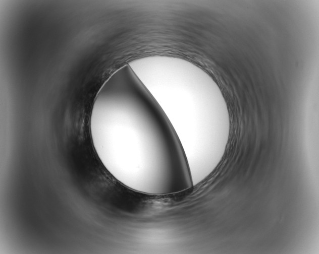 X0000088700525200705311018
