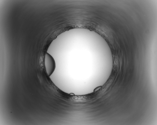 X0000088700526200705311018