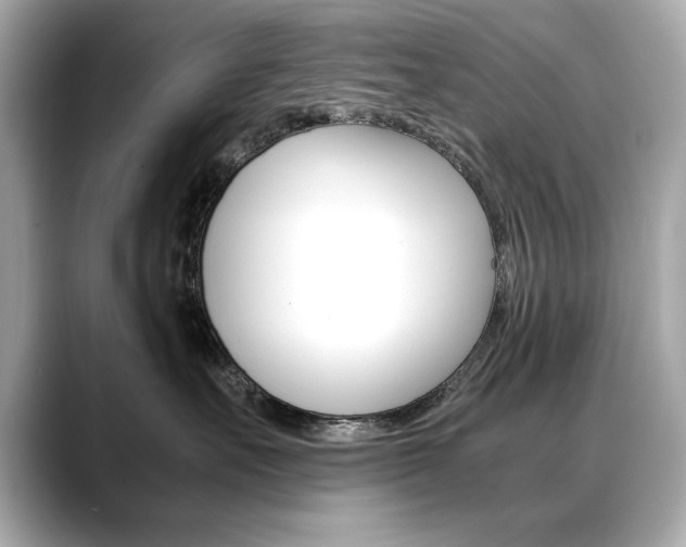 X0000088700527200705311018