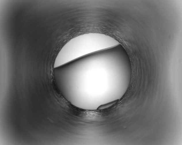 X0000088700528200705311018