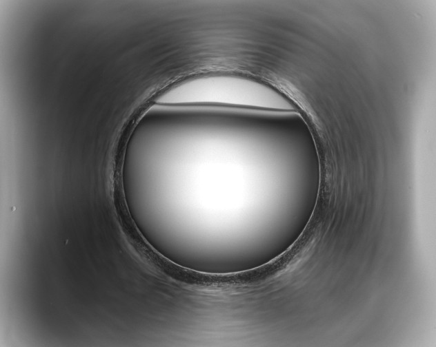 X0000088700530200705311018